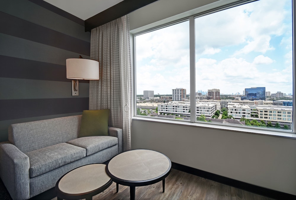 Holiday Inn Express Houston Galleria Area by IHG - photo 19