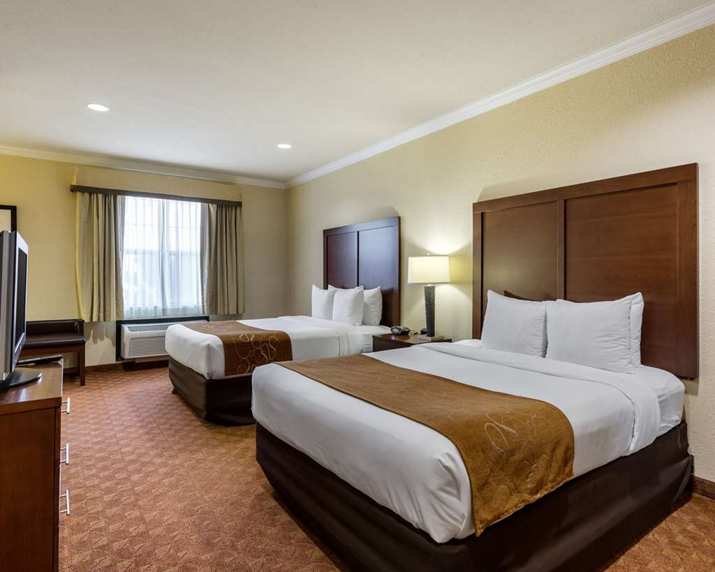 Comfort Suites near NASA Clear Lake - photo 18