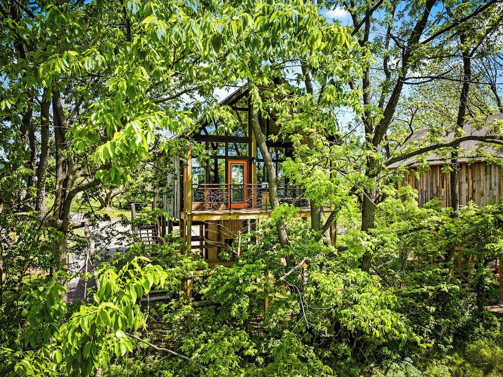 Fairway Treehouses - photo 15