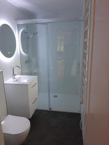 Boshuisje met hottub — Haarle — photo 2