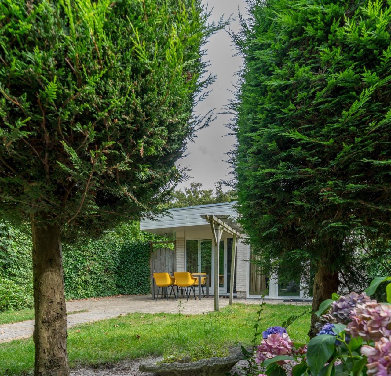 Zilte Bries — De Koog — photo 3