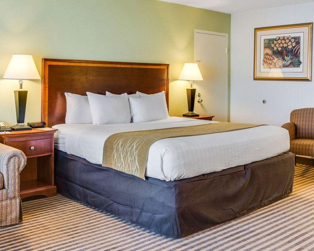 Clarion Inn Fredericksburg North - photo 16