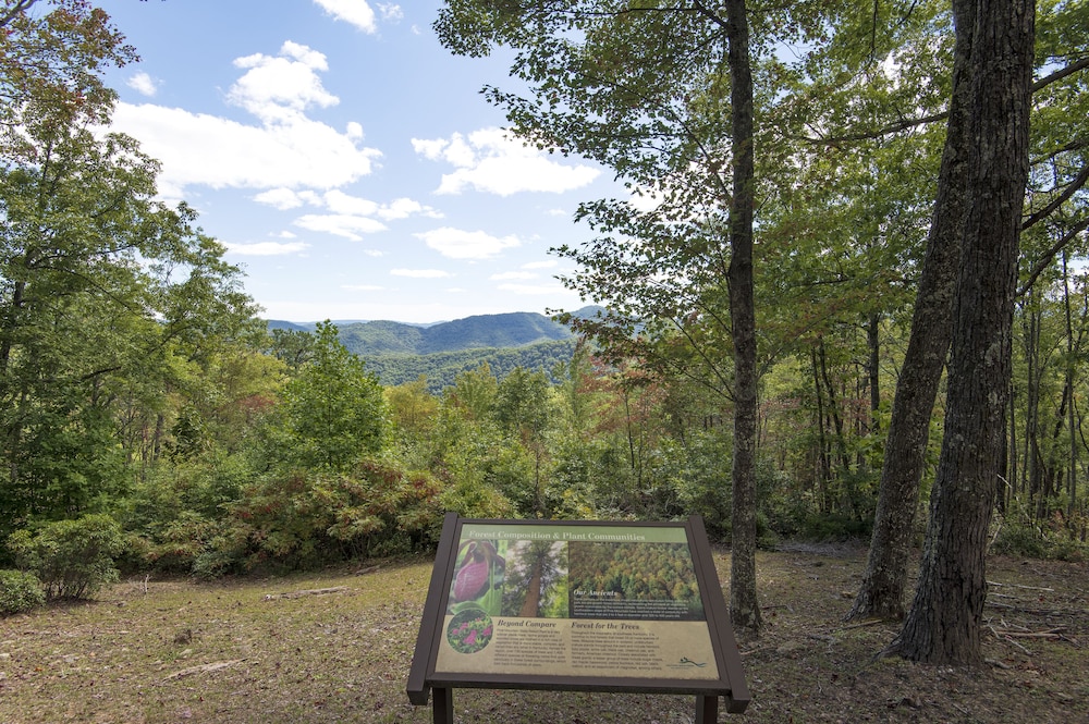 Pine Mountain State Resort Park - photo 59