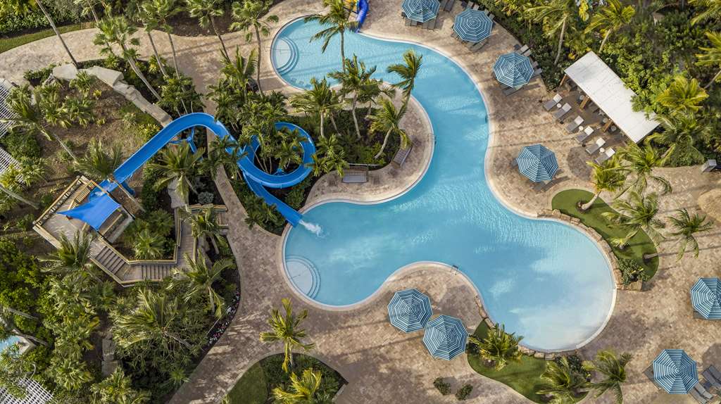 Hyatt Regency Coconut Point Resort & Spa - photo 61