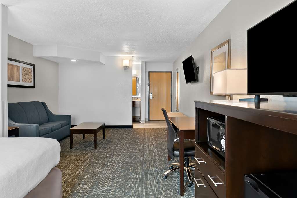 Best Western Plus Flint Airport Inn & Suites - photo 22