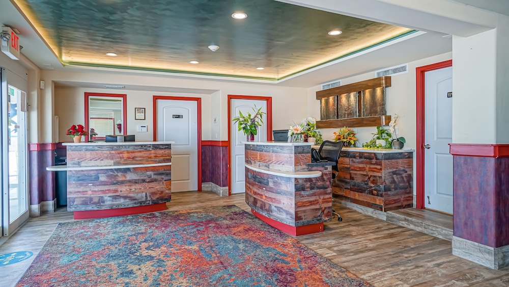 Glunz Ocean Beach Hotel & Resort - photo 6