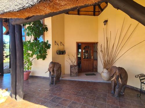Privathaus mit eigenem Pool Windhoek — Windhoek — photo 3