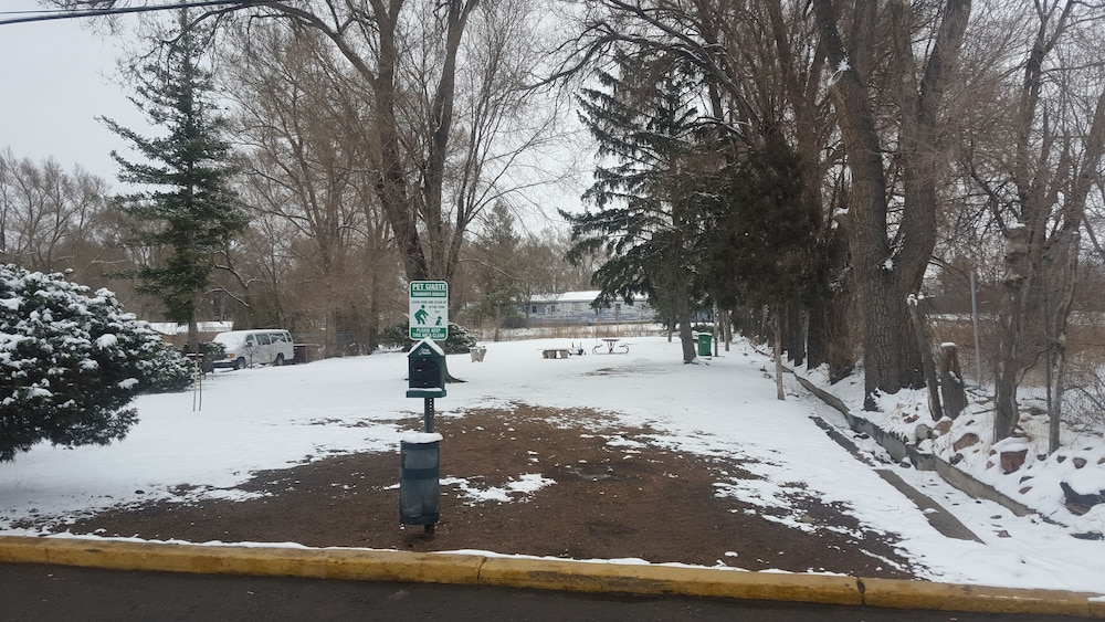 Rodeway Inn & Suites Colorado Springs CO - photo 32