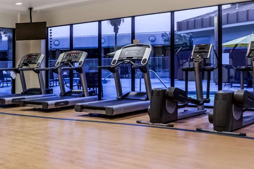 Wyndham Garden Hotel Austin - photo 6