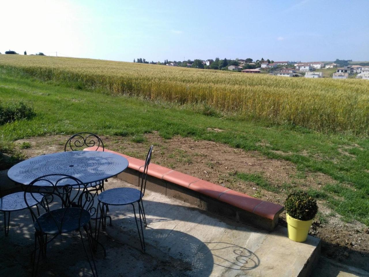 Les Hauts de Sames — Labege — photo 3