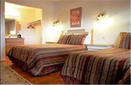 The Inn At Paradise - photo 10