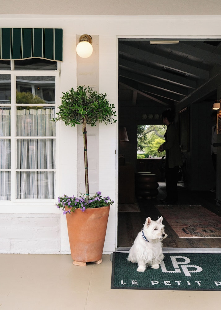 Le Petit Pali at Ocean Ave - photo 30