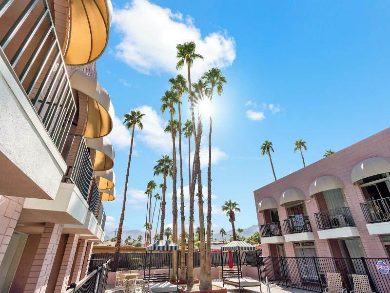 Palms At El Camino - photo 2
