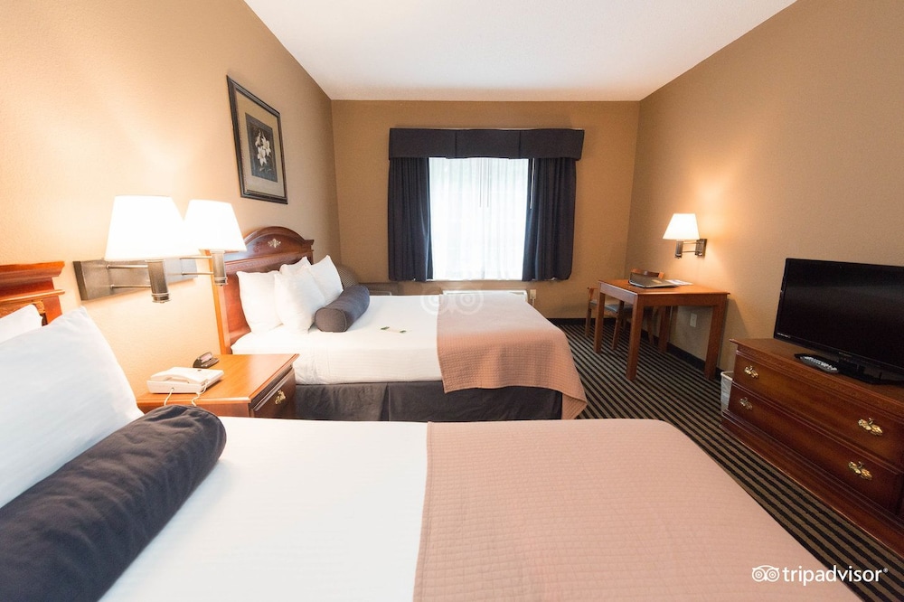 Mountain Inn & Suites - photo 4