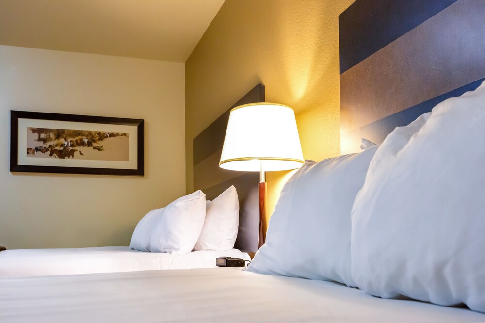My Place Hotel Minot ND - photo 15