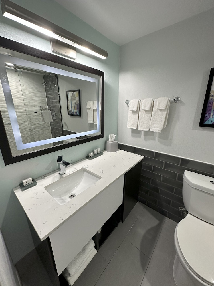 Holiday Inn Express Dallas Downtown - photo 37