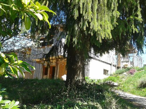 Les Acacias — Moye