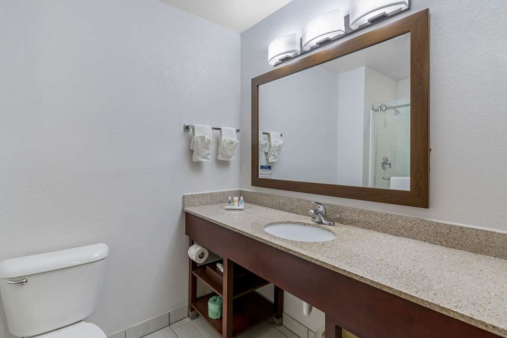 Comfort Suites Lake Geneva East - photo 7