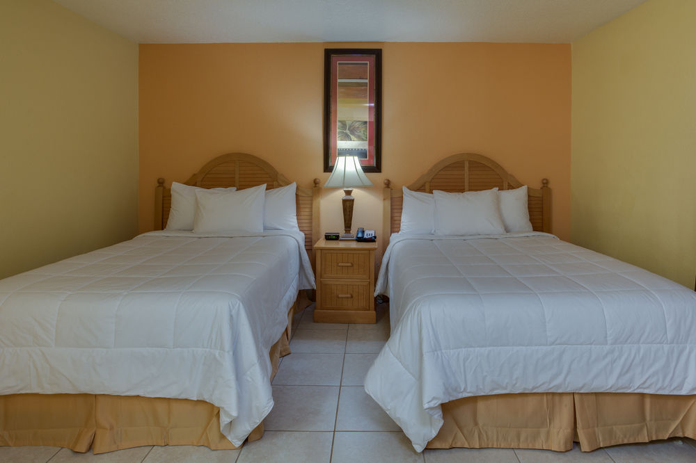 Celebration Suites - photo 9