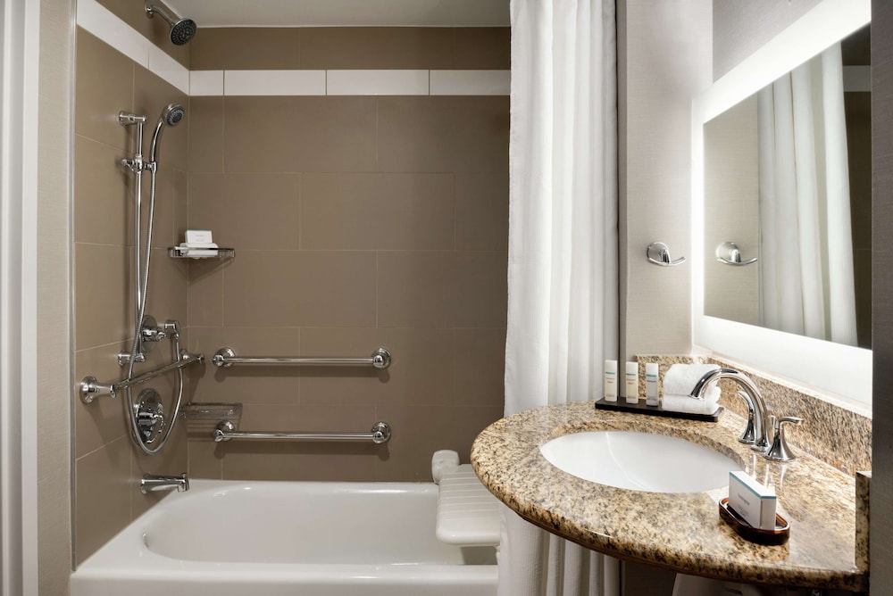 Embassy Suites by Hilton Atlanta Alpharetta - photo 18