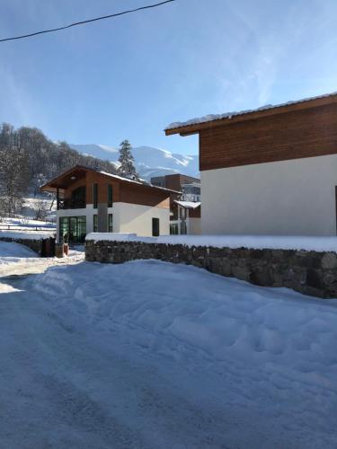Cottage in Bakuriani