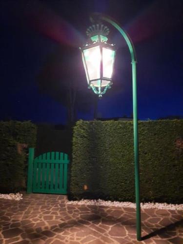 Lavanda in Unknown City, Italy