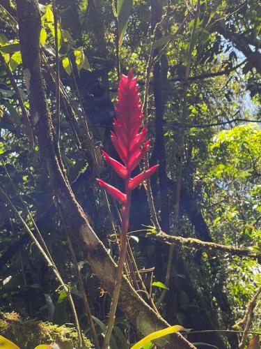 Aconchego na Serrinha in Resende, Brasil