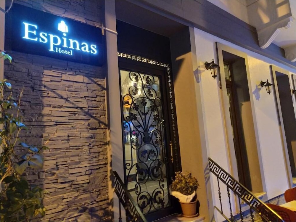 Espinas Taksim Hotel — Istanbul — photo 2