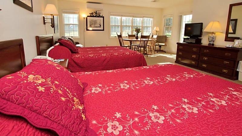 Baileys Harbor Yacht Club Resort - photo 37