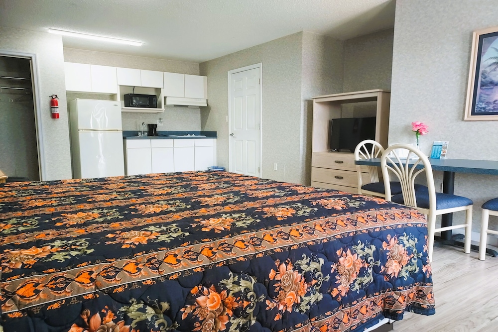 Studio Inn & Suites - photo 19