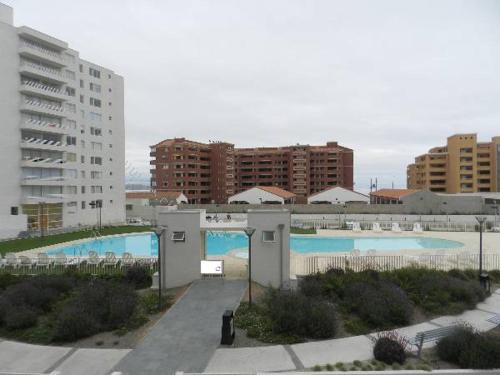 Yasna Gorigoitia — La Serena — photo 4