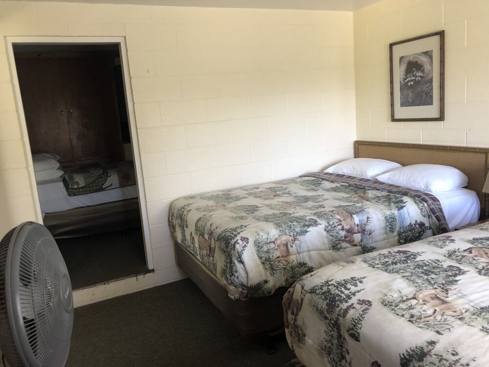 Sequoia Village - photo 21