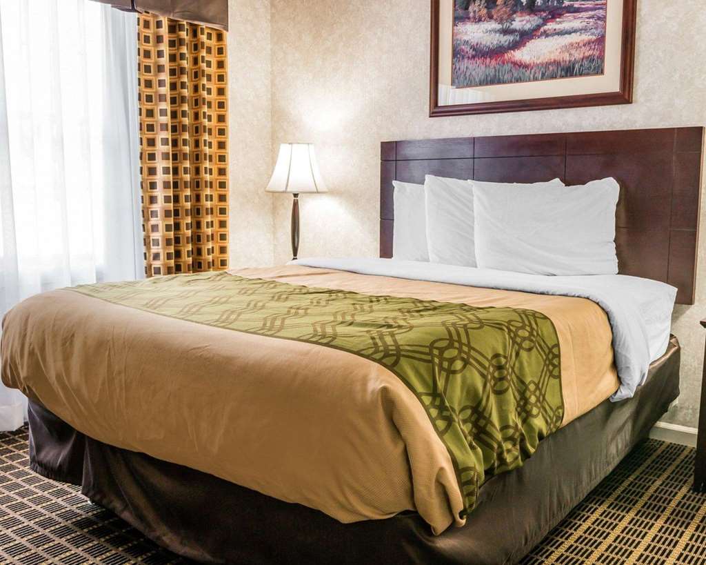 Econo Lodge & Suites Grand Rapids Airport - photo 8