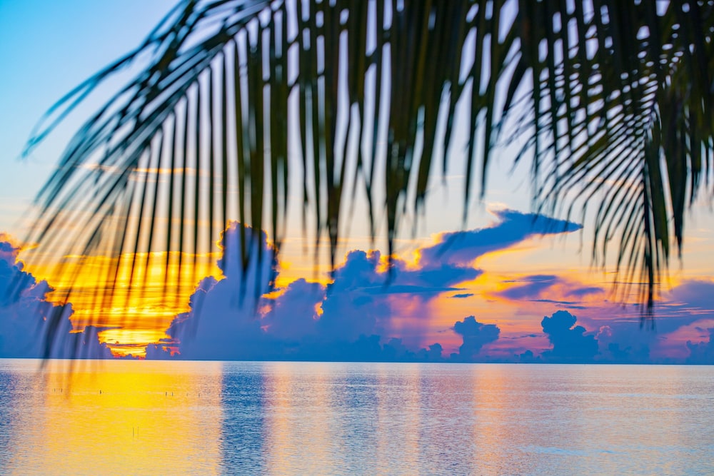 Amara Cay Resort - photo 118