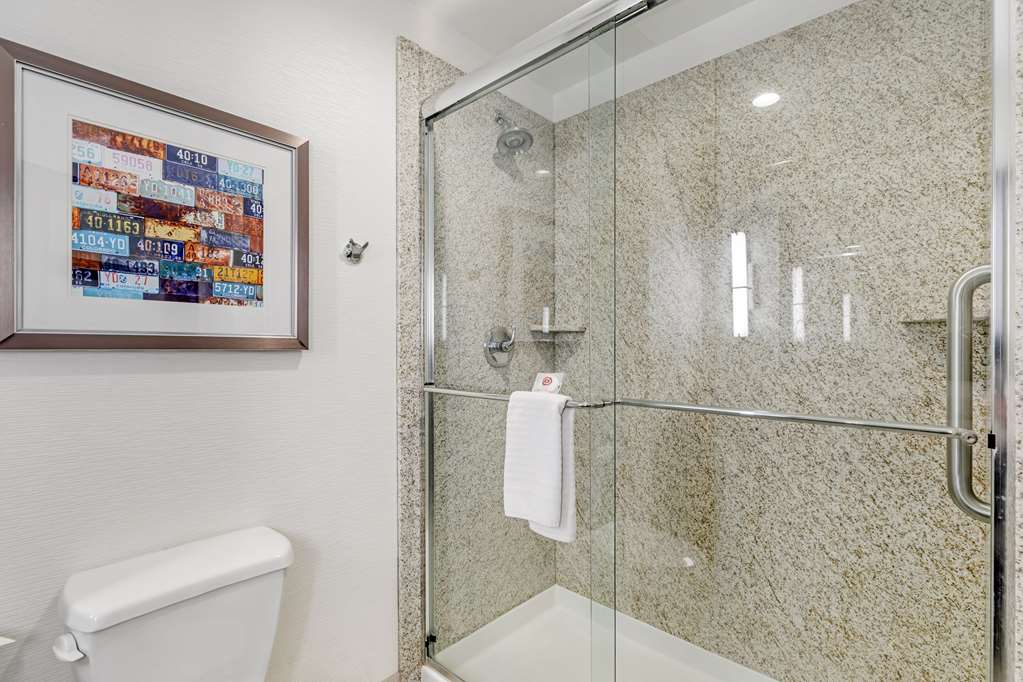 Comfort Inn & Suites Brighton Denver NE Medical Center - photo 40