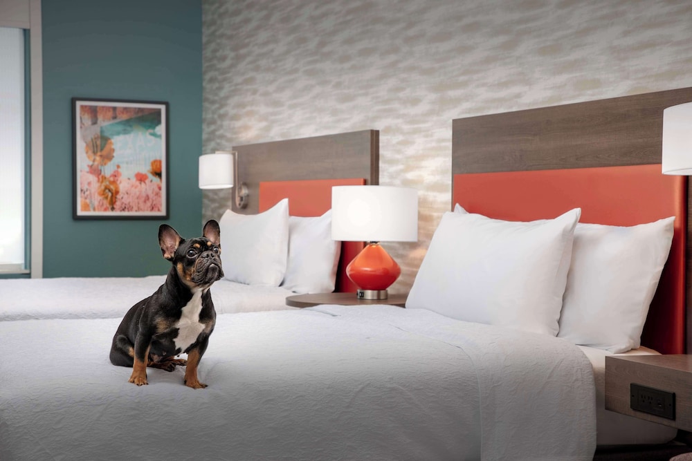 Home2 Suites by Hilton Georgetown Austin North - photo 7