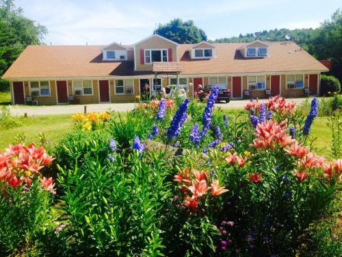 Vintage Motel - photo 28