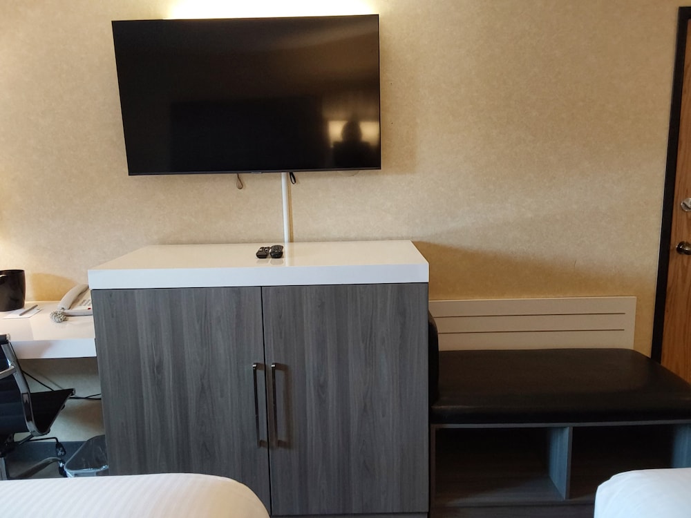 Lavissh Inn & Suites - photo 11