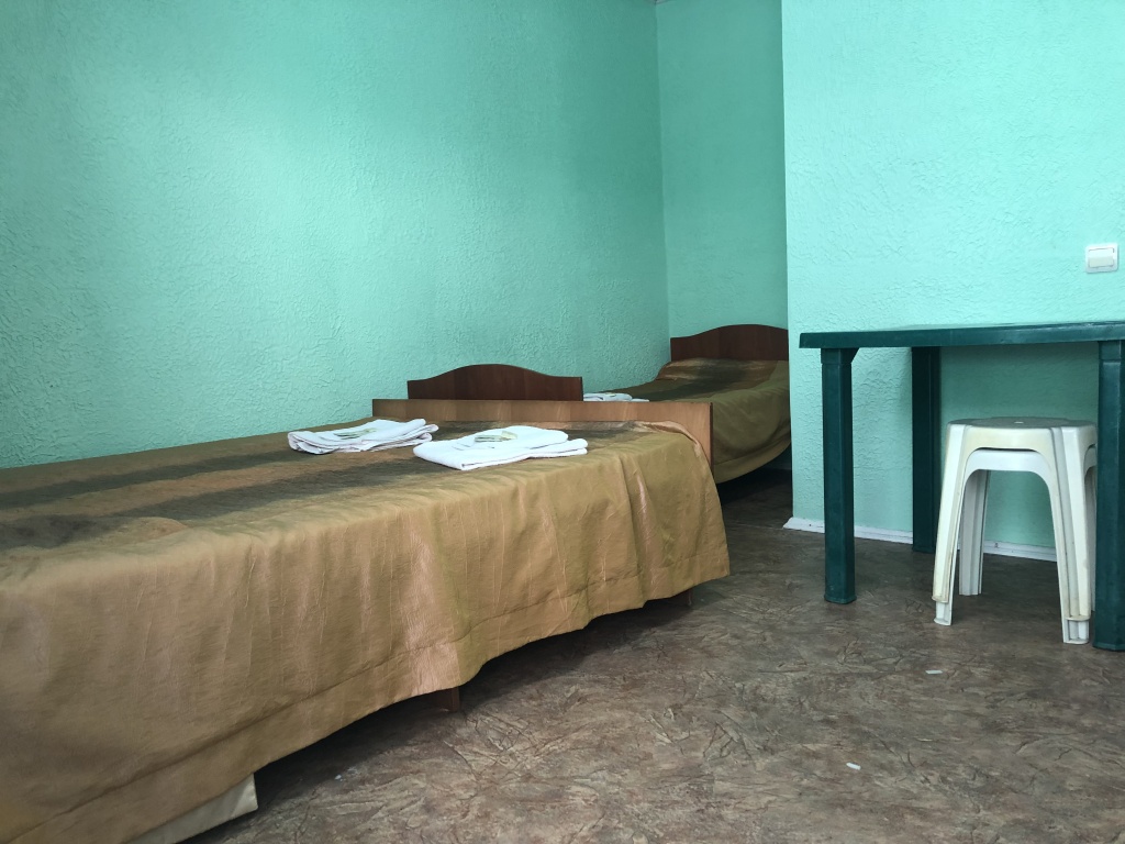 Citrus — Nikolayevka — photo 2