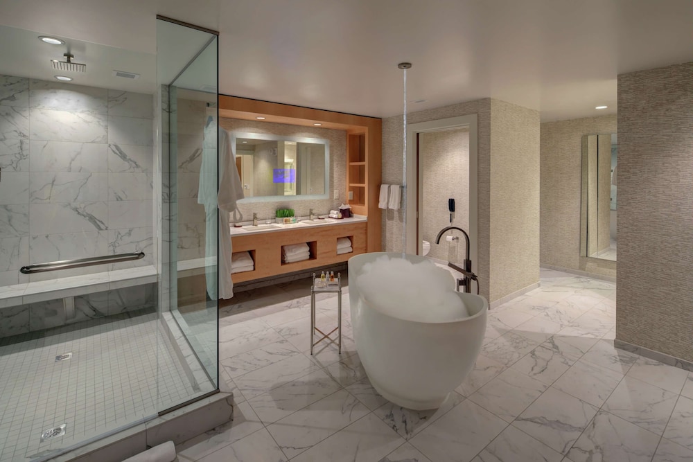 Hilton Norfolk The Main - photo 24