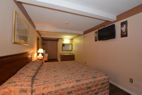Newcastle Motel - photo 18