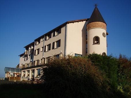 Logis La Rose des Vents — hotel in Volvic