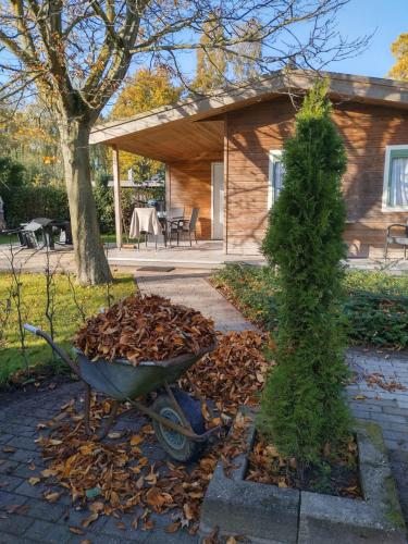Stelle plas231 - last minute hotel in Unknown City
