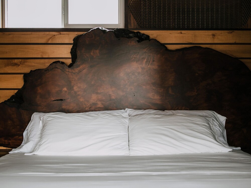 Pitchwood Inn - photo 11