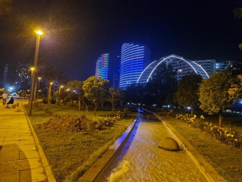 Golden palm in Unknown City, Georgia