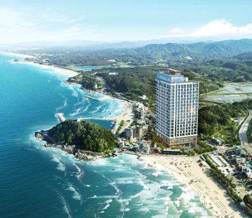 Surf Resort Jd - last minute hotel in Unknown City