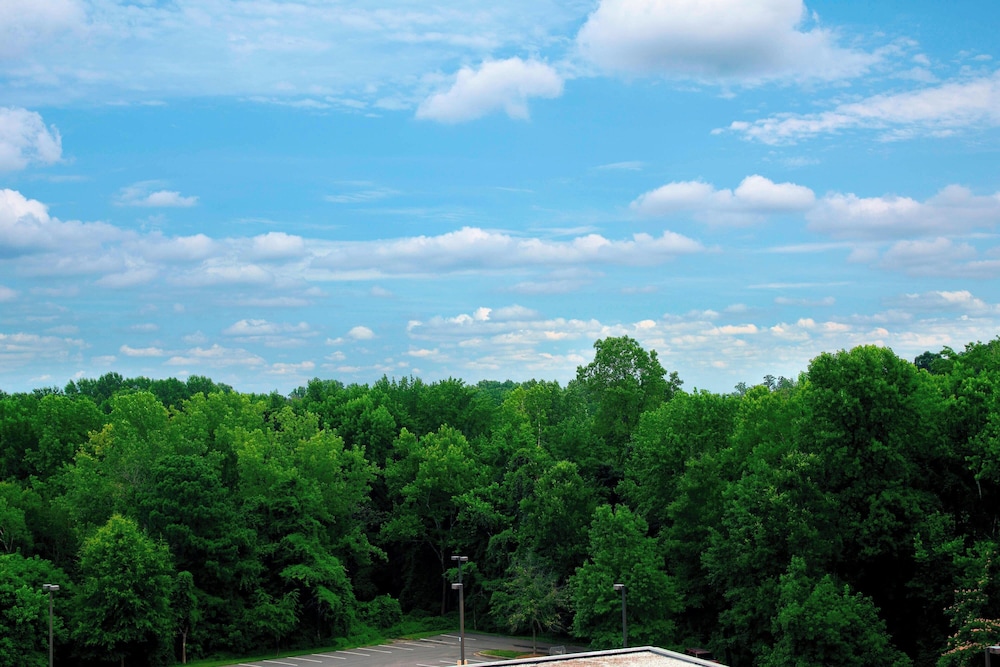 Sheraton Charlotte Airport Hotel - photo 12