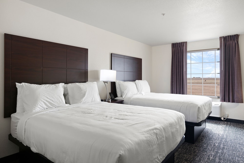 Cobblestone Inn & Suites Yuma - photo 15