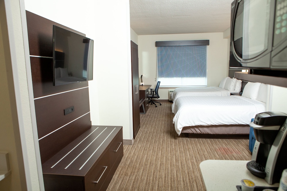 Holiday Inn Express Hotel & Suites Gadsden W Near Attalla by IHG - photo 15