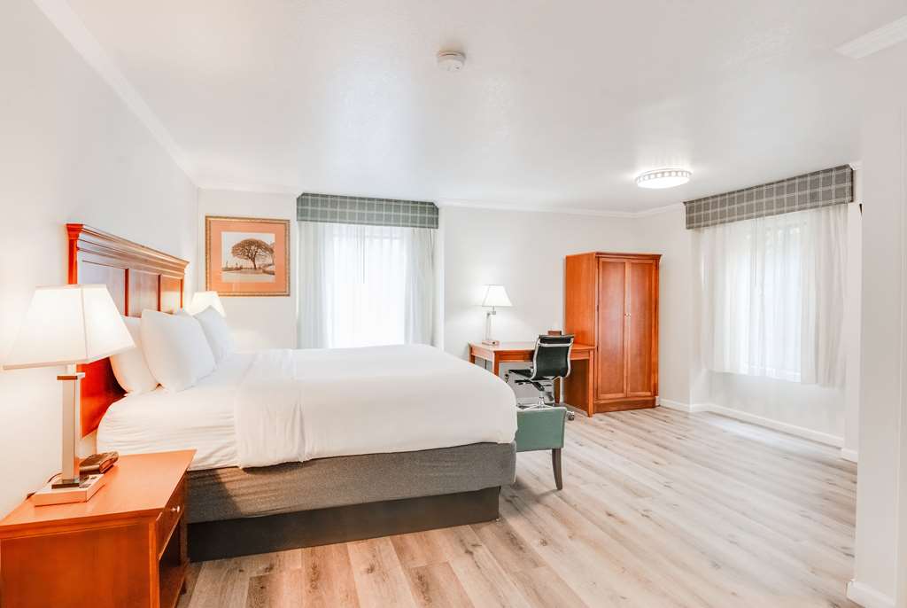 Ramada by Wyndham Mountain View - photo 11